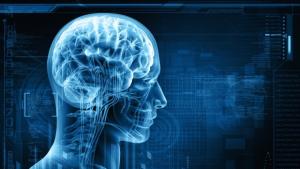 Откриха мозъчен протеин влияещ върху загубата на паметта