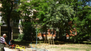 Премахнаха опасни катерушки в Северен