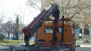Пуснаха нов конкурс за паяците в Пловдив