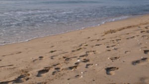 Руснаци откриха сезона на Шкорпиловци