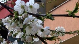 Времето на 6 юни Облачността ще намалява