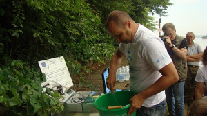 Още малки чиги пуснати в Дунав