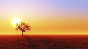 Учени Паузата в глобалното затопляне е илюзия