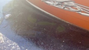 Нефтен разлив край Пристанище Варна