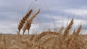 Фондация Тодор Рачински чества 20 години