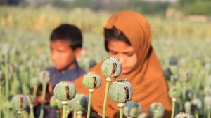 Талибаните вербуват деца за атентати оргии и наркотърговия