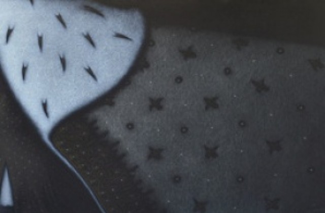 Изложба на Стефан Божков откриват в художествената галерия