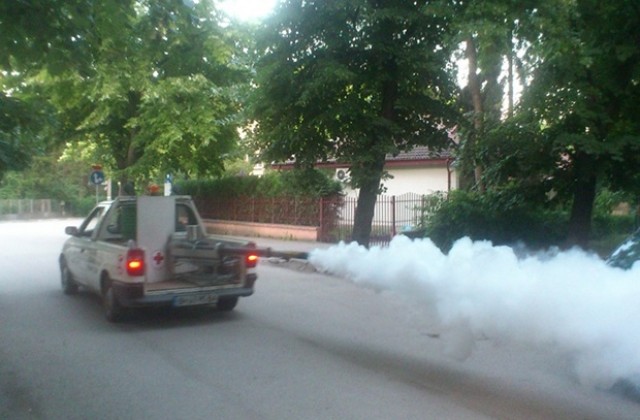 Във Видин започна обработката срещу комари