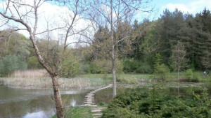 Фолклорна сцена под липите в събота и неделя в лесопарка