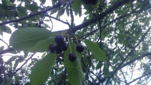 Очертава се уикендът да бъде слънчев и горещ