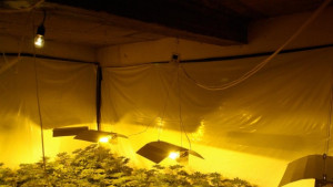 Задържаха четирима заради наркотици