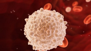 Заснеха разрушаване на бели кръвни телца