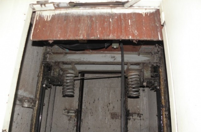 Плъх блокира  асансьор в блок на „Пещерско шосе“