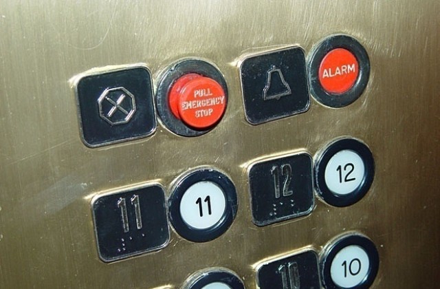 Плъх блокира асансьор в Пловдив