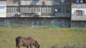 Във Владиславово слагат знаци Забранено за каруци