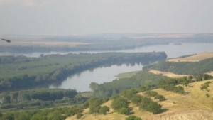 Доброволци почистват дунавски острови