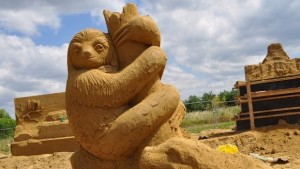 Носорог тигър зебра и фламинго в Морската