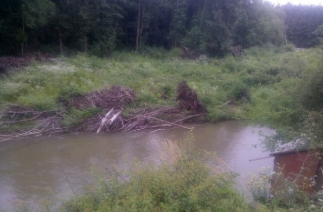 Почистват коритото на река Белица при Дебелец