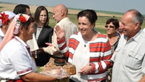 45 милиона тона пшеница се очакват през тази година СНИМКИ