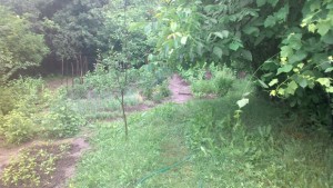 Приемът на документи за помощ за млади земеделски стопани започва