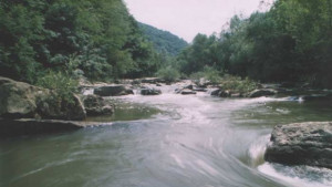 Извадиха удавник от водите на Росица