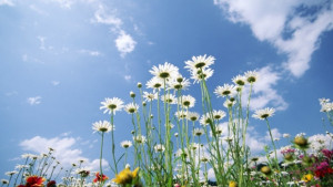 В Казанлък отбелязват Еньовден