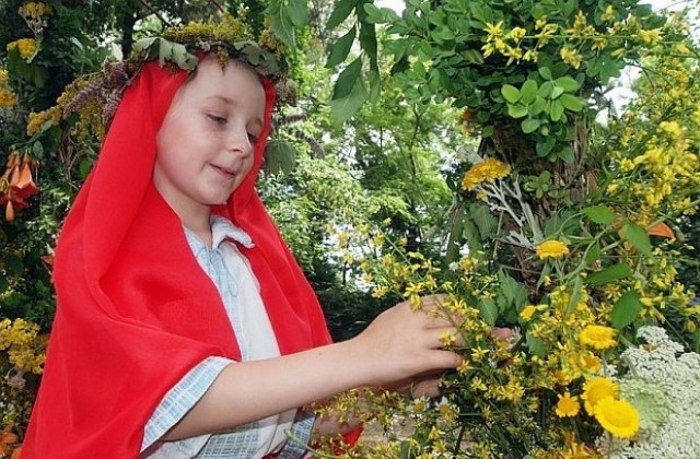 На Еньовден почитаме магичната сила на слънцето и билките