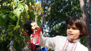 Отбелязваме Еньовден