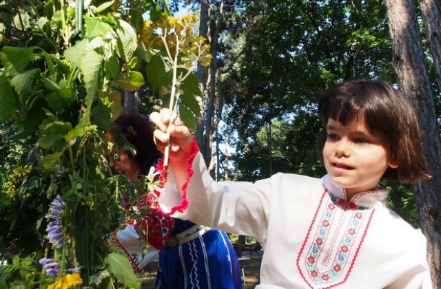 Отбелязваме Еньовден