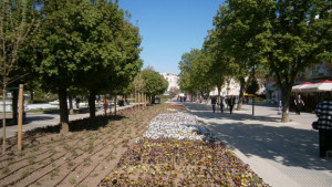 Паркстрой ще стопанисва новата поливна система на площада в Плевен