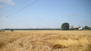 Правилата за безопасност през жътвената кампания припомнят от РД ПБЗН