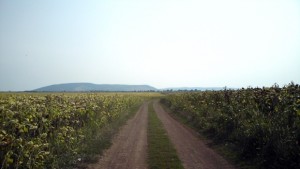 Неудовлетворени земеделци унищожават ниви