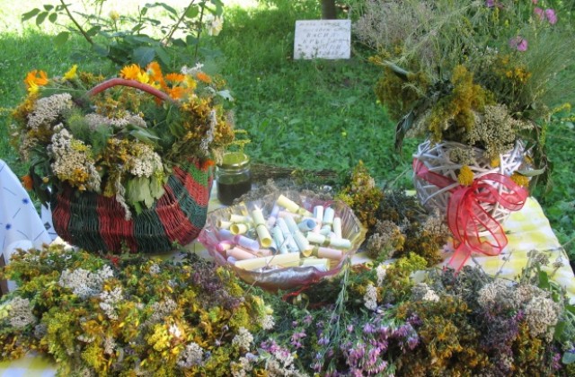 Златарица отбеляза Еньовден с билков чай и рибен курбан