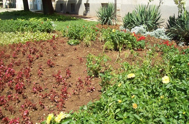 Не всички сме лош материал, но лошият нещо взе да надделява...