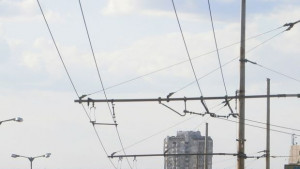 Подмяната на тролейбусната мрежа продължава по три улици от понеделник