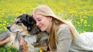 Българско мобилно приложение свързва собственици на кучета