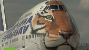 Амурски тигър върху самолета зов за защита на застрашения вид