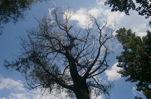 Времето остава хладно и ветровито
