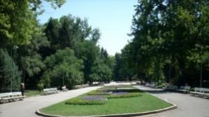 Жена открадна детска количка в парк