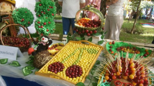 100 сорта череши представят на празника безплатни туристически обиколки до