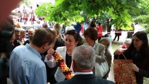 Министър Танева 15 от черешите в България се добиват в