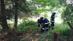 Мениджър на загиналия пилот Вината не беше негова