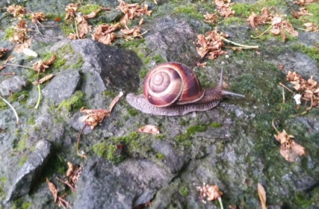 Дъжд и гръмотевици и в последния ден на юни