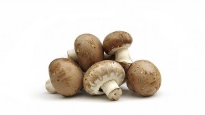 Изплатиха над 700 000 лв на засегнати от руското ембарго