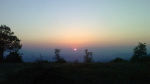 Джулай морнинг символ на свобода и зараждащ се живот