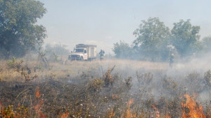 Пожар изпепели 5 дка гора край с Радиево