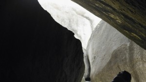 Eкип учени ръководен от българин откри стоножката от ада