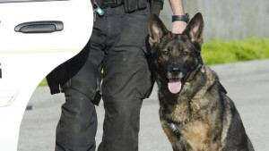 Създава се зоополиция