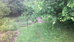 Национална служба за съвети в земеделието ще проведе 143 изнесени