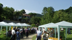 Пчеларски събор на Етъра